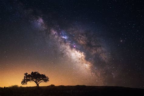 The Dazzling Brilliance of the Milky Way's Magic Stars